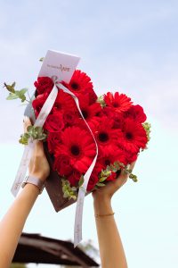 Corazón con Serenata Millón de Primaveras
